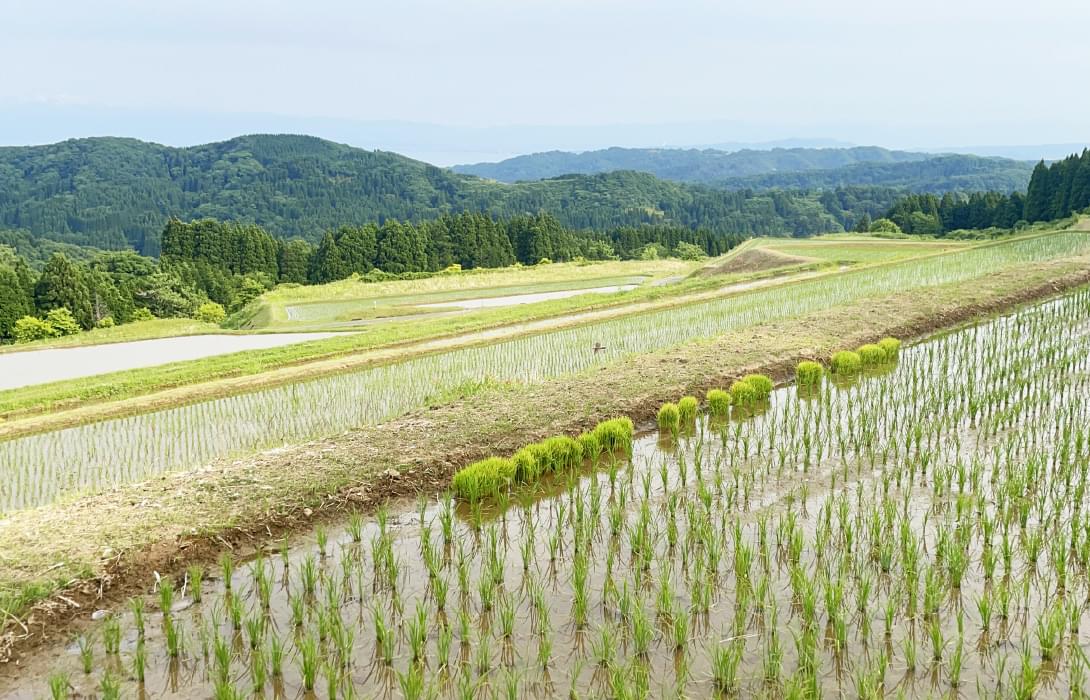 地域活性化や持続可能な社会を目指して